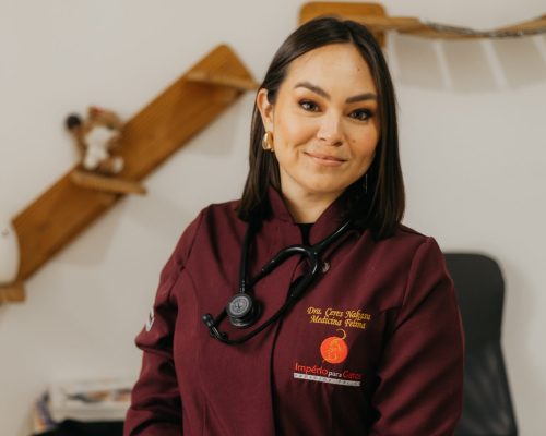 Veterinária Dra. Ceres em consultório de ultrassonografia em Pelotas.