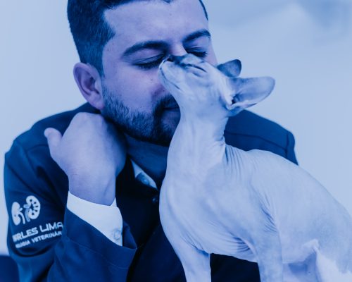 Dr, Charles interagindo com o gato em uma consulta oftalmológica em Pelotas.